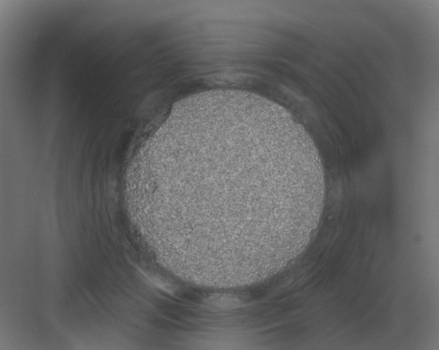 X0000081320749200702082136