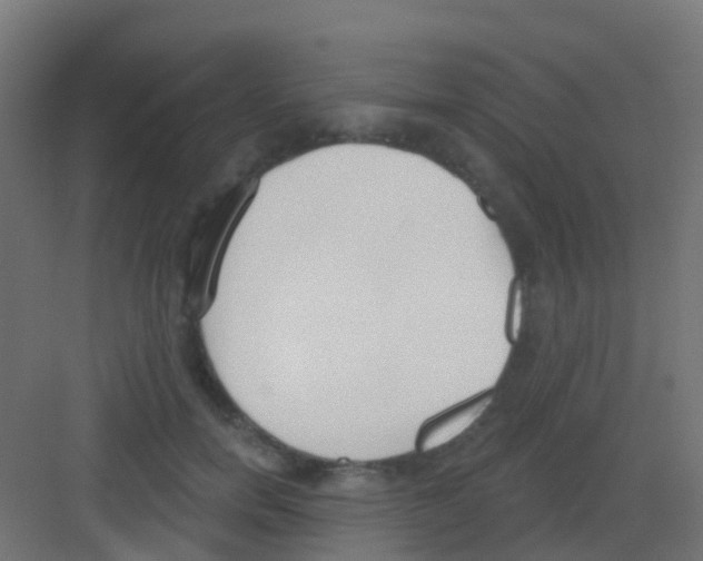 X0000081320750200702082136