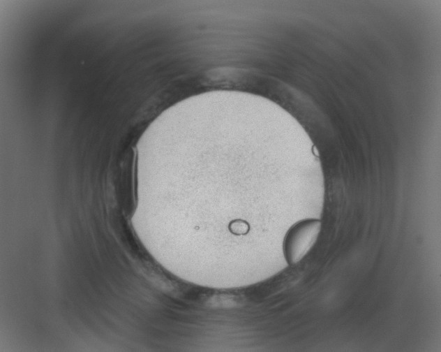 X0000081320751200702082136