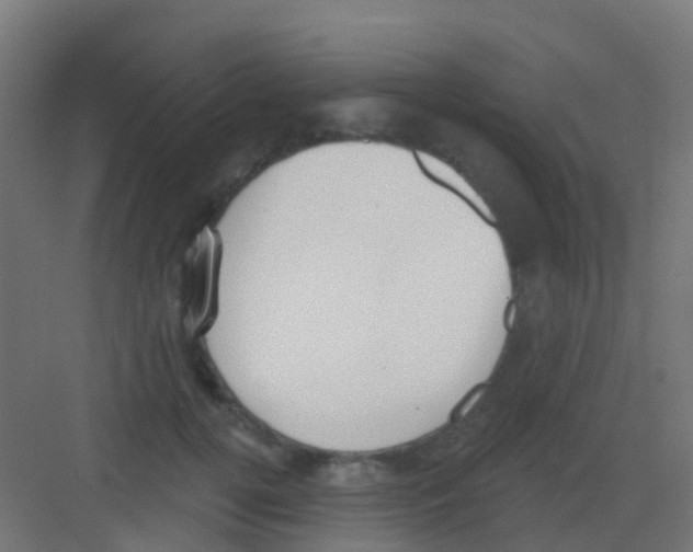 X0000081320752200702082136