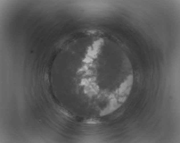 X0000081320754200702082136