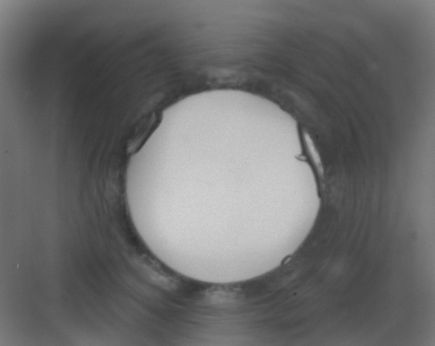 X0000081320756200702082136