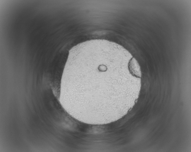 X0000081320758200702082136