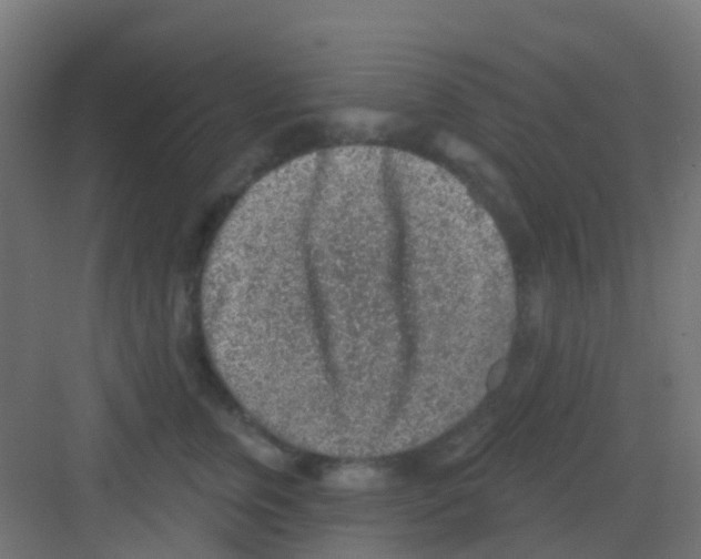 X0000081320759200702082136