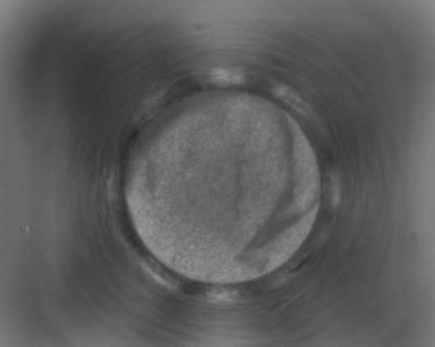 X0000081320760200702082136