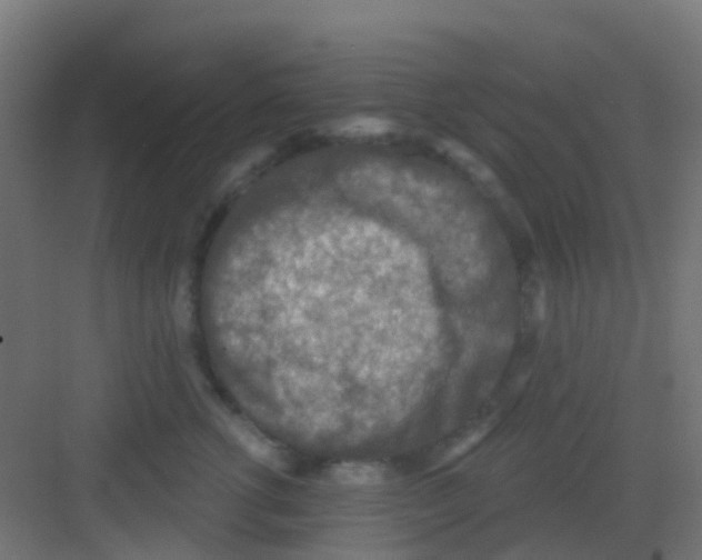 X0000081320762200702082136