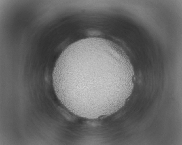 X0000081320763200702082136