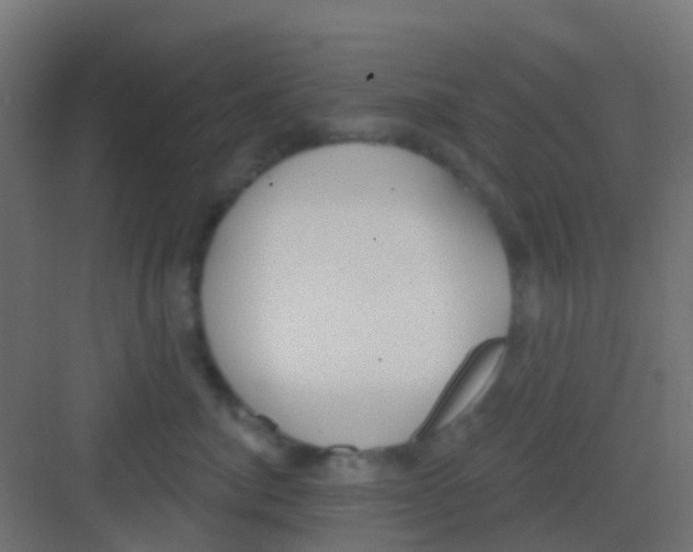 X0000081320764200702082136