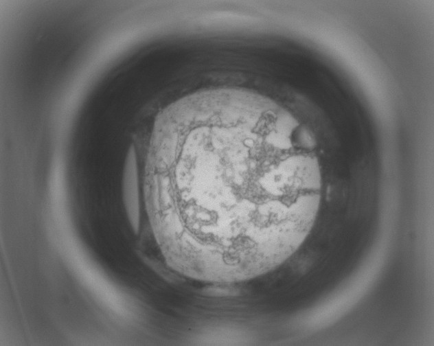 X0000081320765200702082136