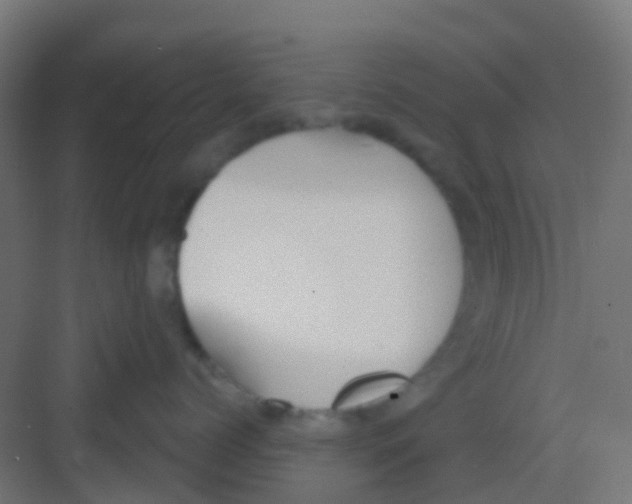 X0000081320768200702082136