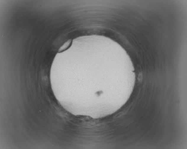 X0000081320771200702082135