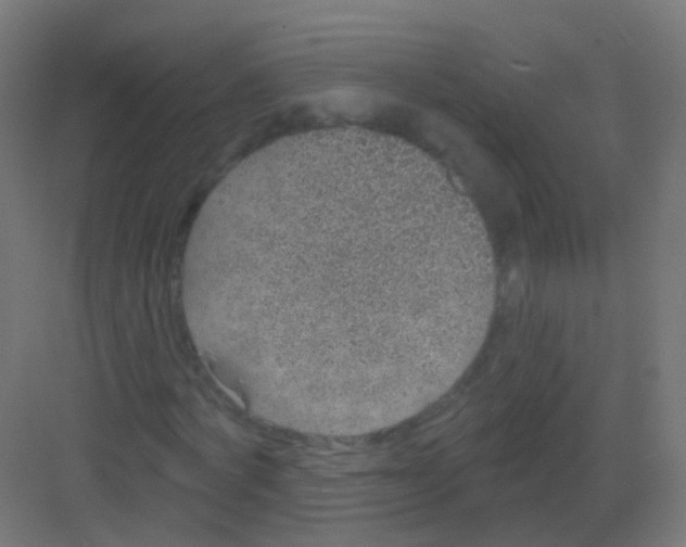 X0000081320772200702082135