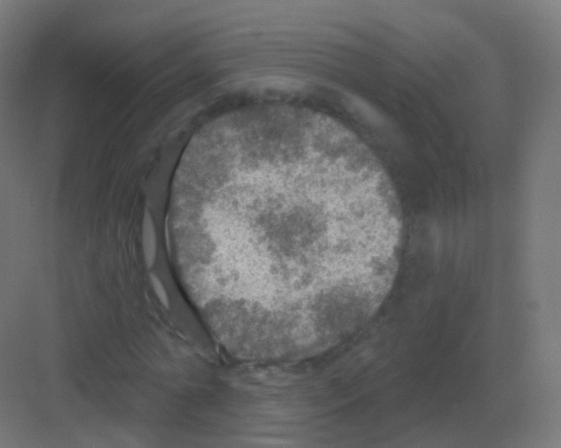 X0000081320774200702082135