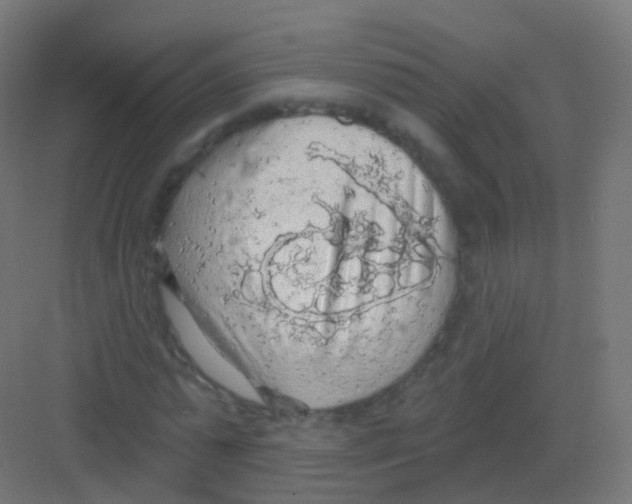 X0000081320775200702082135