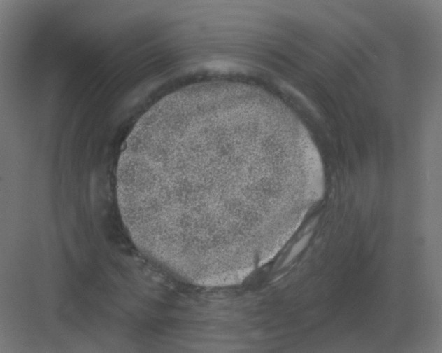 X0000081320776200702082135