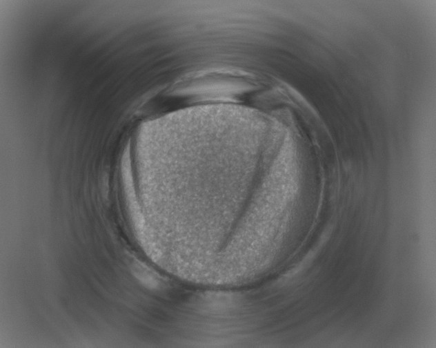 X0000081320777200702082135