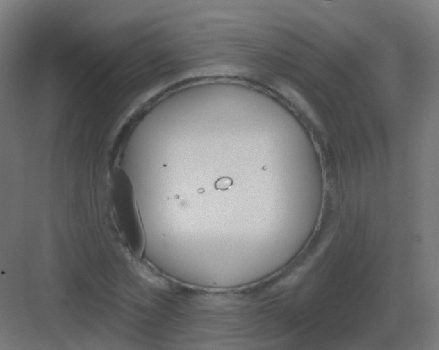 X0000081320781200702082135