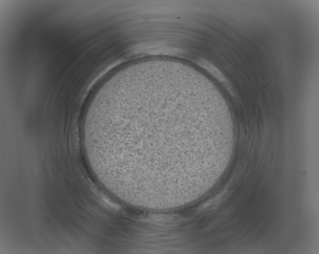 X0000081320782200702082135