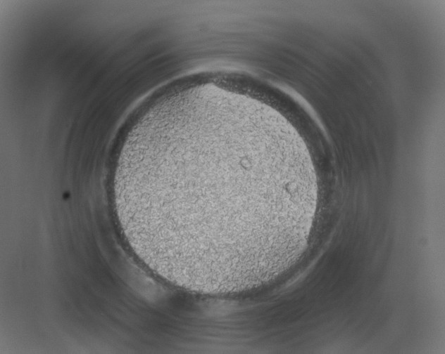 X0000081320783200702082135