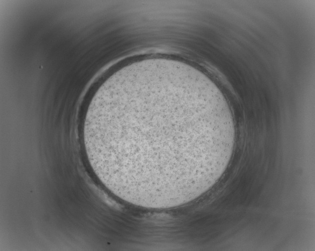 X0000081320784200702082135