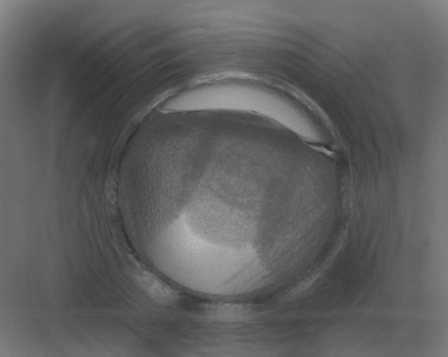 X0000081320785200702082135