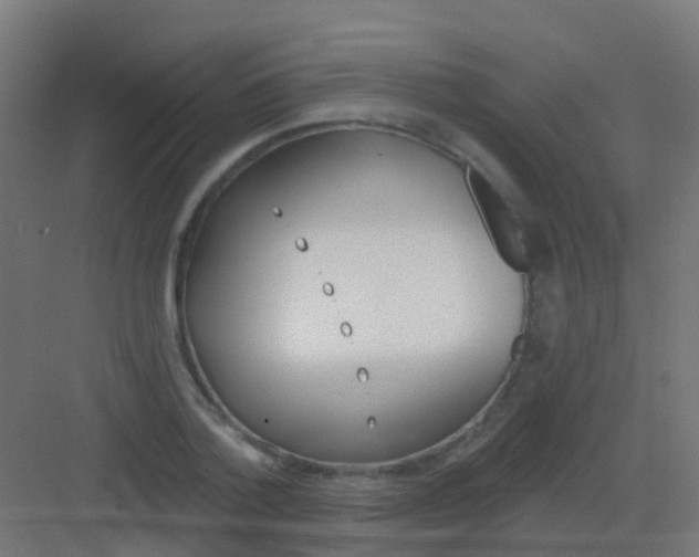 X0000081320788200702082135