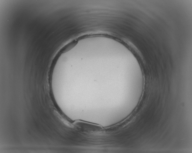 X0000081320789200702082135