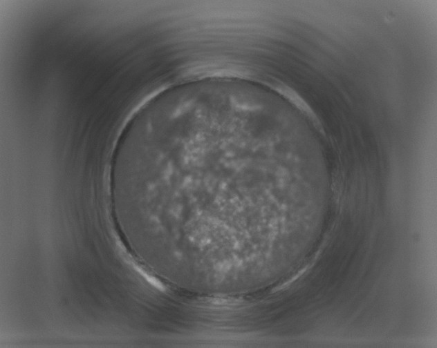 X0000081320790200702082135