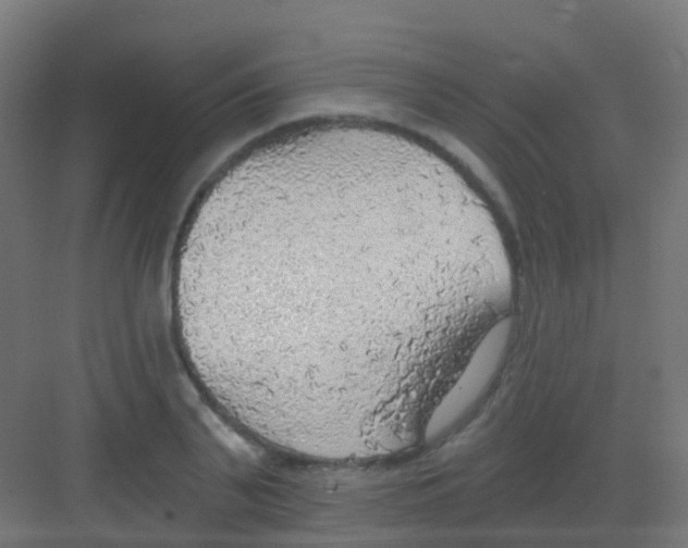 X0000081320791200702082135