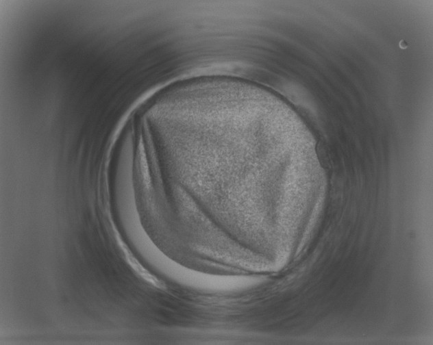 X0000081320792200702082135