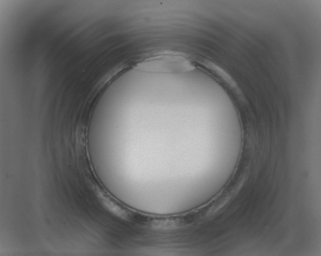 X0000081320793200702082135