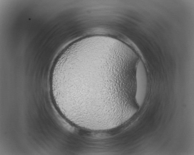 X0000081320795200702082135