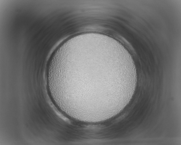 X0000081320796200702082135