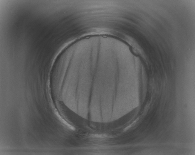 X0000081320797200702082135