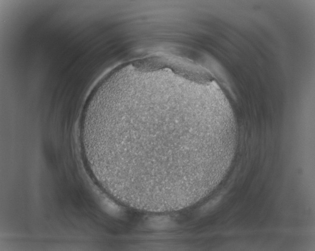 X0000081320798200702082135