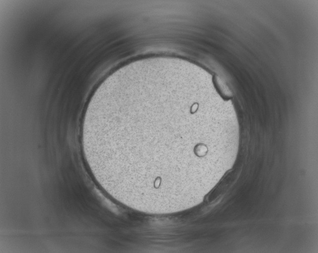 X0000081320799200702082135