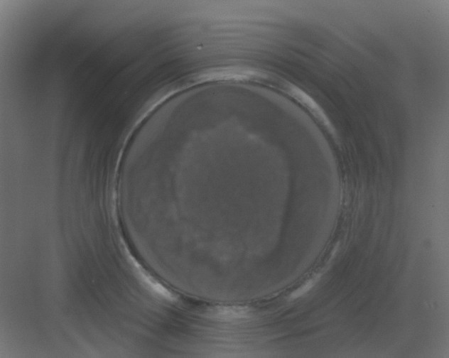 X0000081320802200702082135