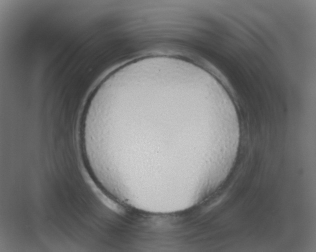 X0000081320803200702082135