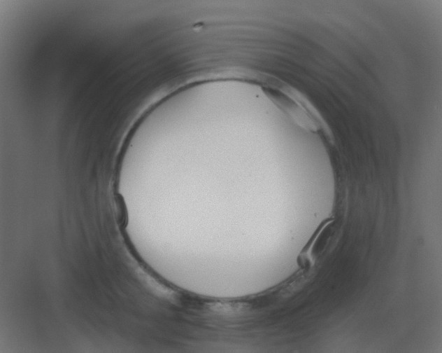 X0000081320805200702082134