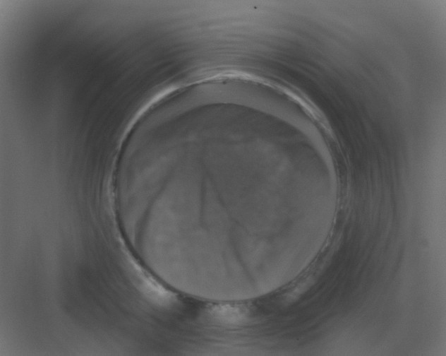 X0000081320806200702082134