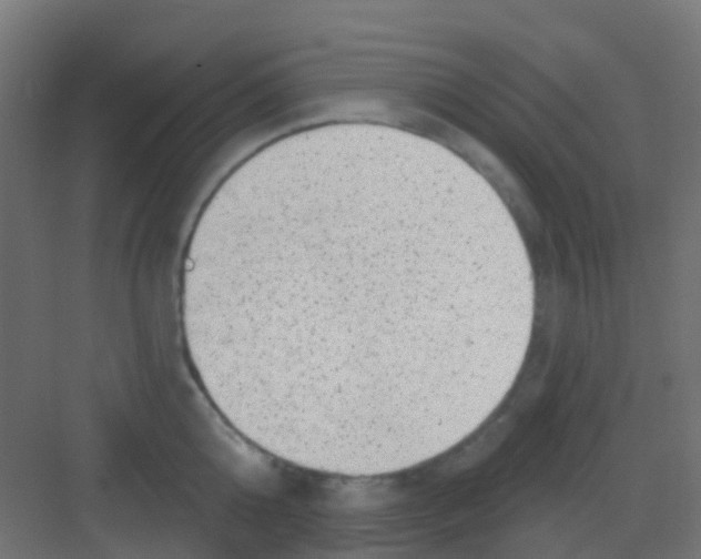 X0000081320808200702082134