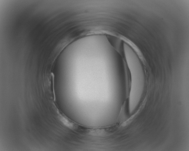 X0000081320809200702082134