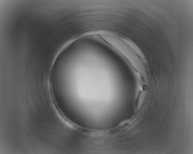 X0000081320813200702082134