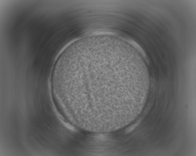 X0000081320814200702082134