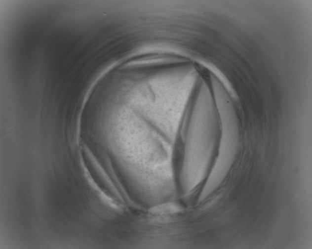 X0000081320815200702082134