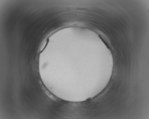 X0000081320816200702082134