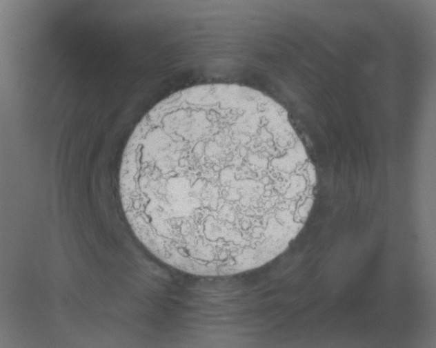 X0000081320817200702082133