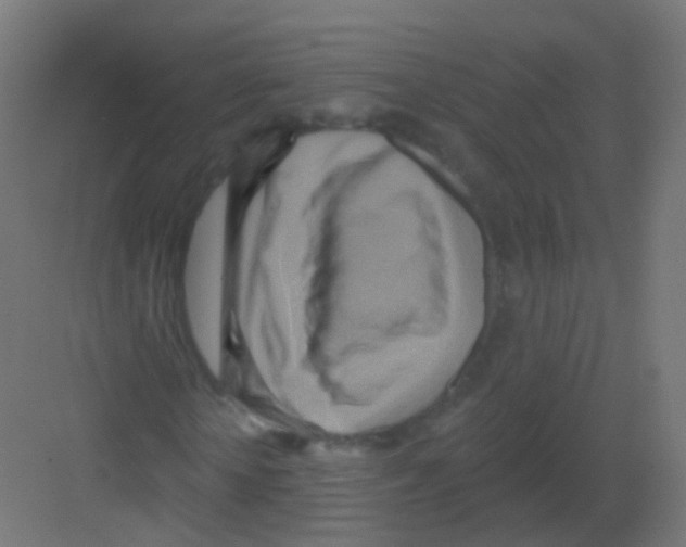 X0000081320818200702082133