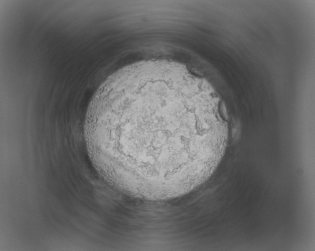 X0000081320819200702082134