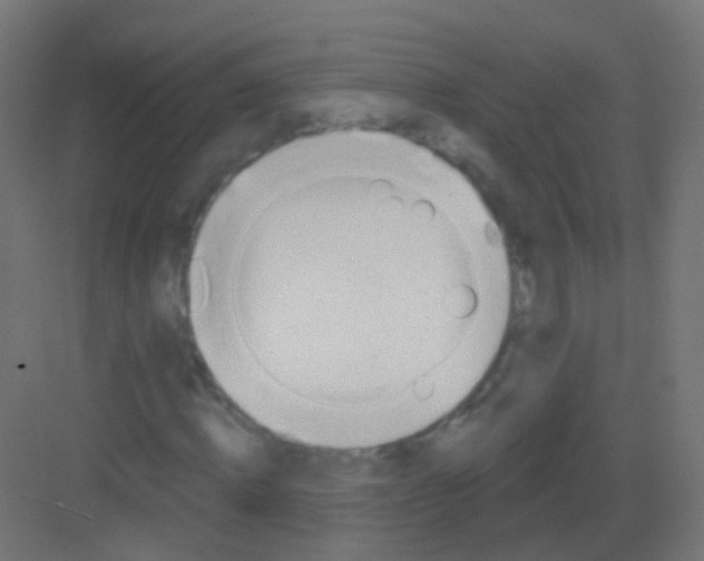 X0000081320820200702082134